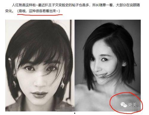 明星黑料最新,明星黑料曝光，真相背后引人深思-第1张图片-成人影视大全