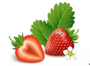 草莓视频污成人,揭秘网络短视频的诱惑与危害-第1张图片-成人影视大全