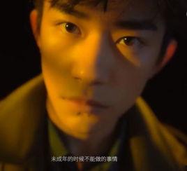 成人的意义视频,探索成长与自我实现的奥秘-第1张图片-成人影视大全