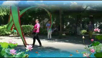 成人舞彩绸视频大全,视频大全精选回顾-第1张图片-成人影视大全