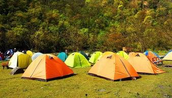 魔法帐篷成人舞蹈视频,成人舞蹈的激情演绎与魅力探索-第3张图片-成人影视大全