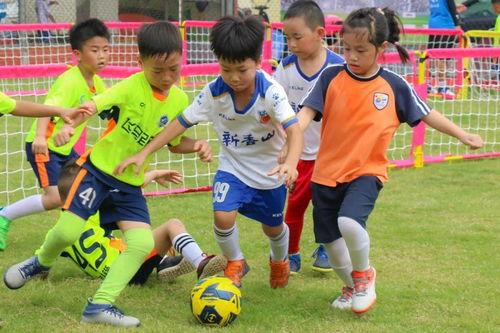 成人与小孩足球赛视频,成人VS小孩足球赛精彩瞬间回顾-第3张图片-成人影视大全