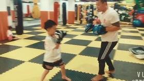 成人散打热身训练视频,高效启动战斗状态-第1张图片-成年电影网 成人散打热身训练视频,高效启动战斗状态-第1张图片-成年电影网