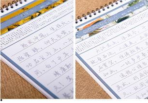 成人练字教育视频大全集,从零基础到书法大师的蜕变之旅-第3张图片-成年电影网