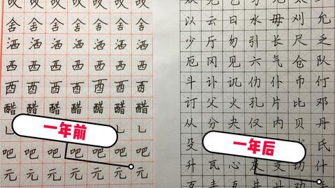 成人自学如何练字视频,轻松掌握书法艺术-第2张图片-成年电影网