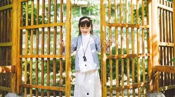 成人诗词讲解大全视频,领略古典韵味，品味诗意人生-第1张图片-成年电影网