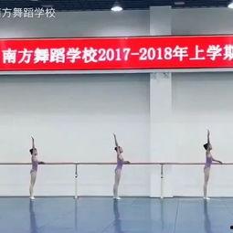 成人舞蹈过程视频大全教学,成人舞蹈学习过程全解析-第3张图片-成年电影网