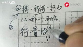 成人练字楷书书法视频欣赏,跟随视频领略成人练字艺术风采-第2张图片-成年电影网